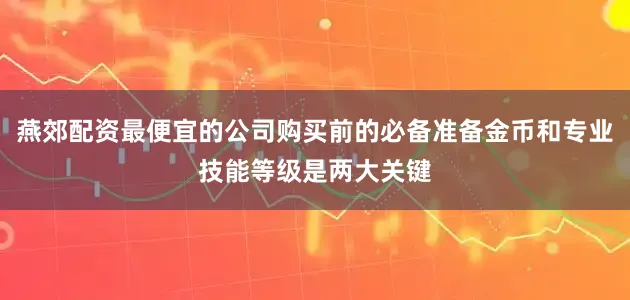 燕郊配资最便宜的公司购买前的必备准备金币和专业技能等级是两大关键