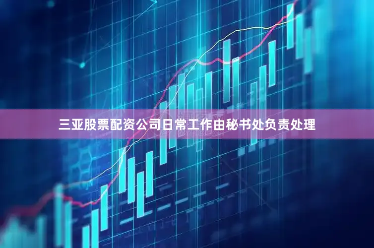 三亚股票配资公司日常工作由秘书处负责处理